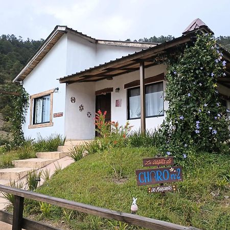 La Casita De Charo 2 Villa Constanza Bagian luar foto